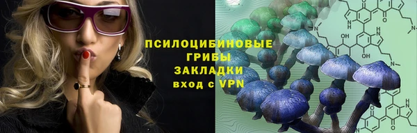 ALPHA PVP Богородицк