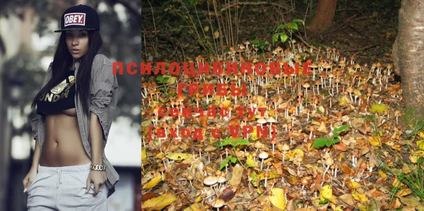 кокаин VHQ Белокуриха