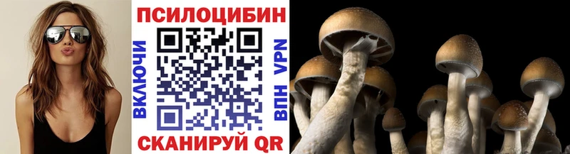 гидра как войти  где купить   Козельск  Галлюциногенные грибы мицелий 